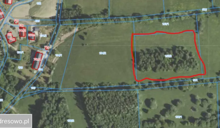 Działka rolna Przecznica