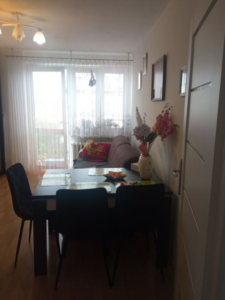 Mieszkanie 2-pokojowe Ciechanów, ul. Stefana Okrzei. Zdjęcie 2