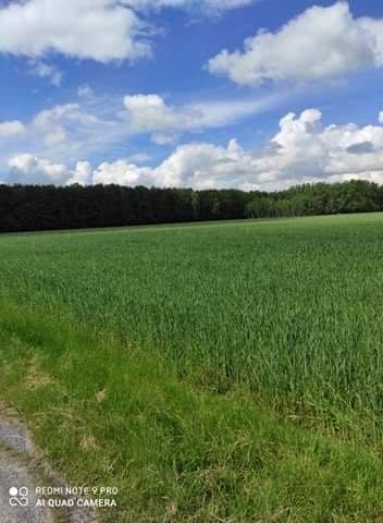 Działka budowlana Tłuściec. Zdjęcie 3