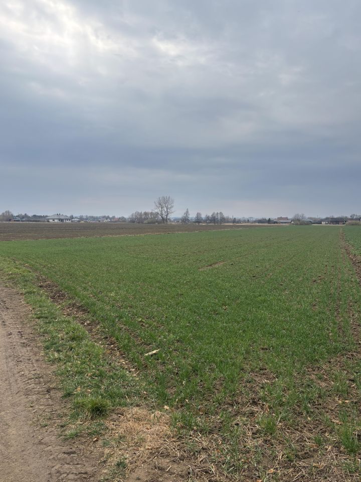 Działka rolna Koniaczów. Zdjęcie 4