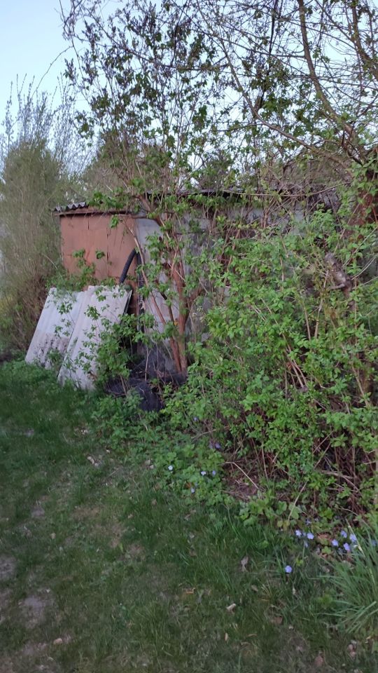 Działka rod Radom, ul. Wincentego Witosa. Zdjęcie 5