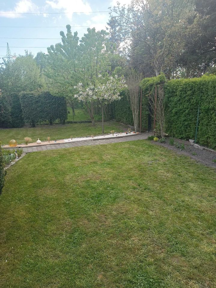 Działka rod Katowice Załęska Hałda. Zdjęcie 8