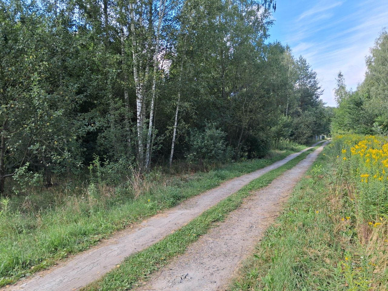 Działka rekreacyjna Strachów, ul. Klonowa. Zdjęcie 4