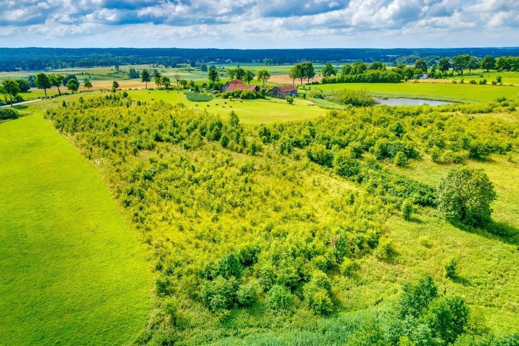 Działka rekreacyjna Mostkowo. Zdjęcie 21