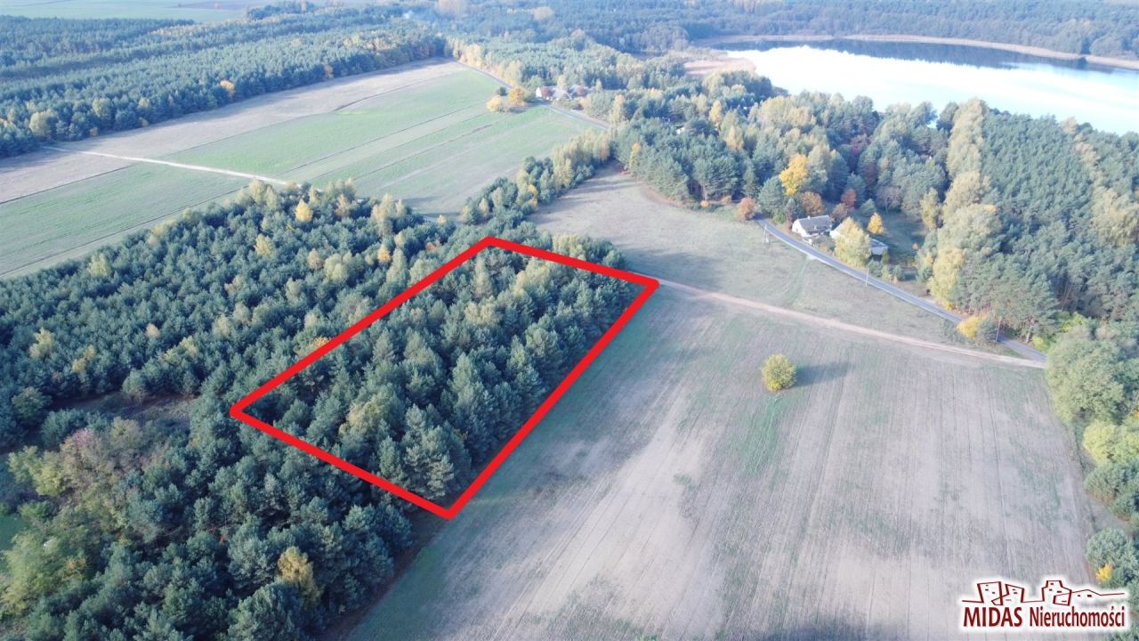 Działka rolna Stawiska Wymysłowo. Zdjęcie 5