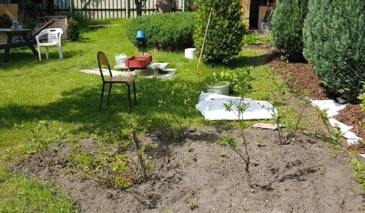 Działka rod Bytom, ul. Strzelców Bytomskich