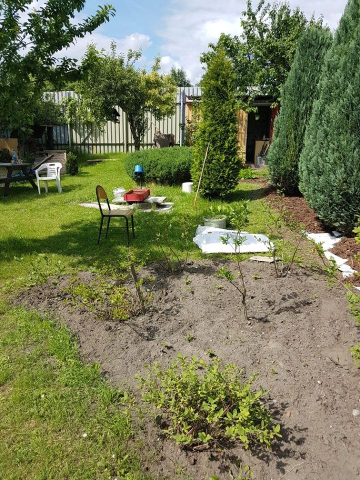 Działka rod Bytom, ul. Strzelców Bytomskich