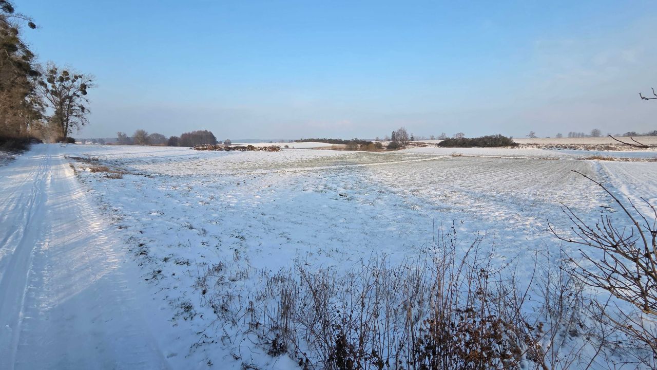 Działka rolna Niemieczkowo. Zdjęcie 6