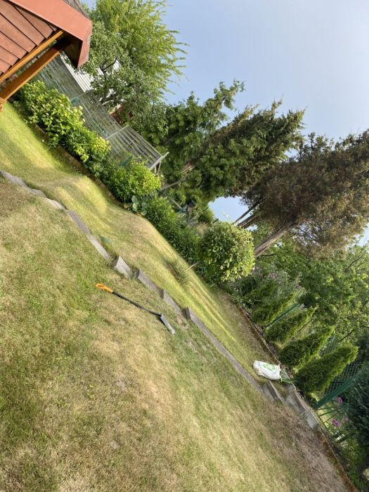 Działka rod Gdańsk Morena, ul. Nowolipie. Zdjęcie 8