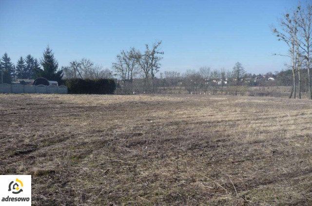 Działka inwestycyjna Końskowola. Zdjęcie 1