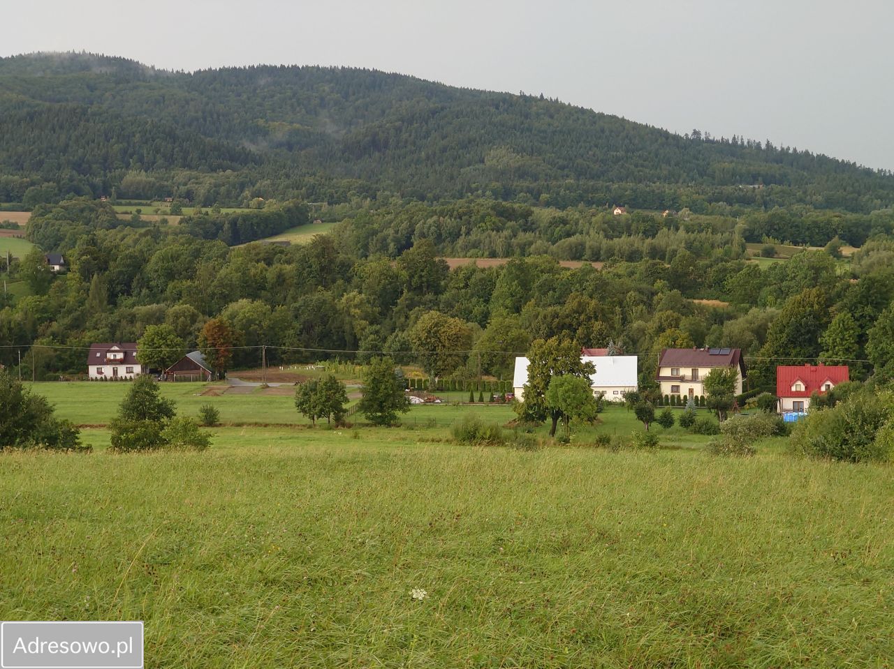 Działka budowlana Przenosza. Zdjęcie 6