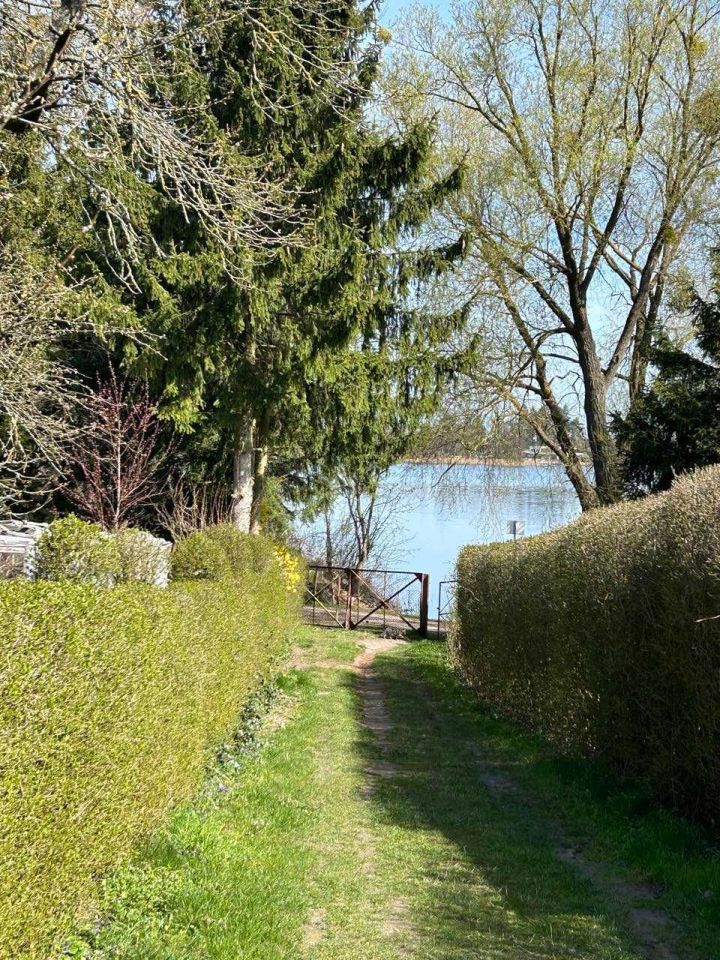 Działka rod Myślibórz. Zdjęcie 6