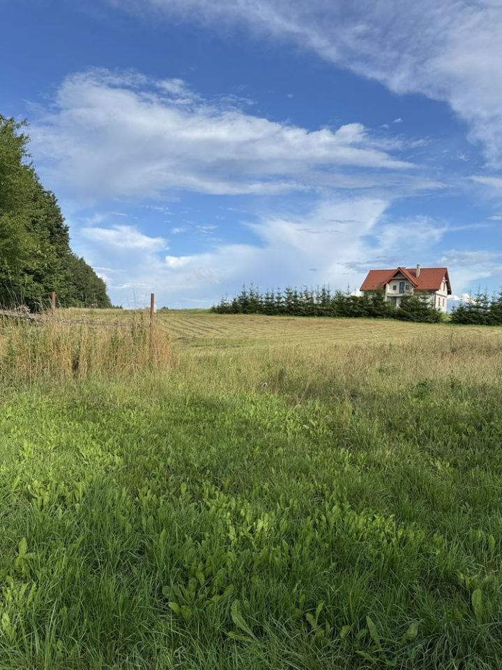 Działka budowlana Trygort. Zdjęcie 4