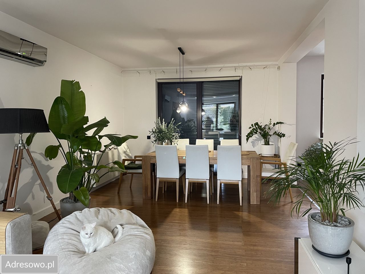 dom wolnostojący, 6 pokoi Sławków. Zdjęcie 9