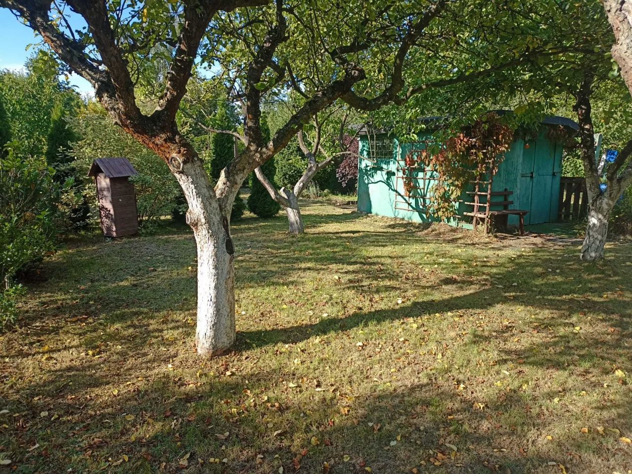 Działka rod Sulechów. Zdjęcie 6