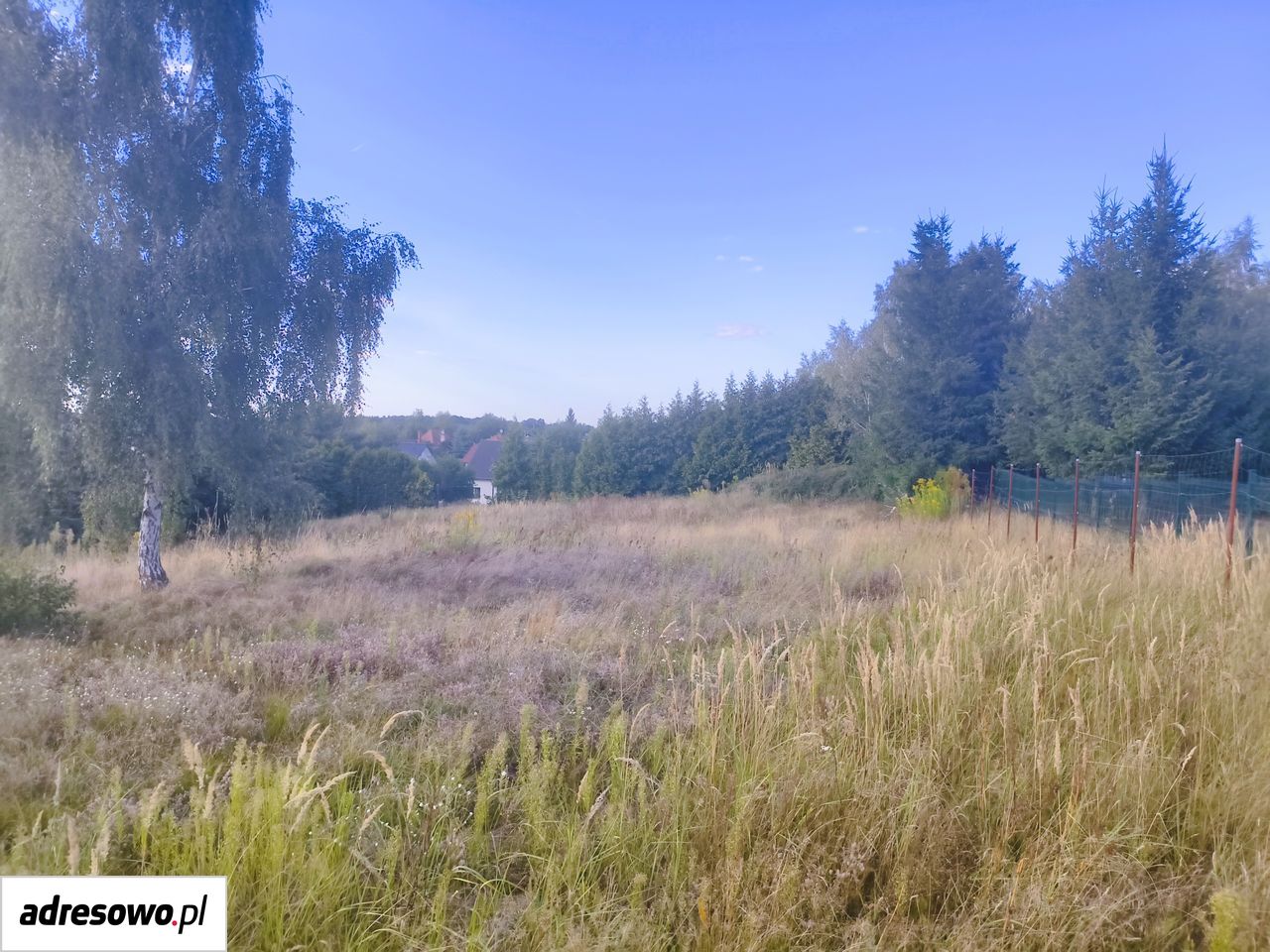 Działka budowlana Dobra, ul. Poziomkowa. Zdjęcie 7
