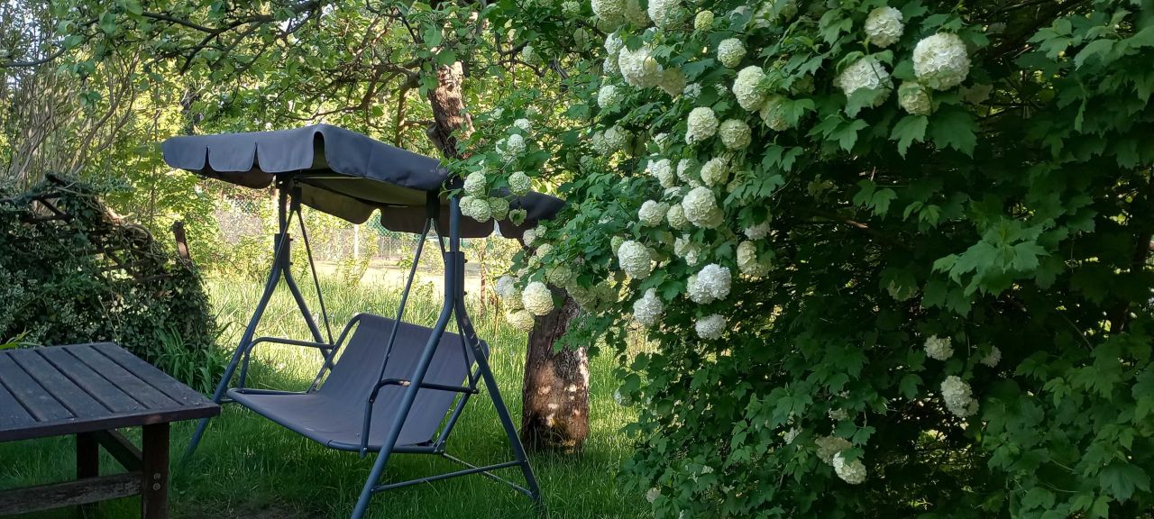 Działka rod Częstochowa Zawodzie, ul. Bratnia. Zdjęcie 6