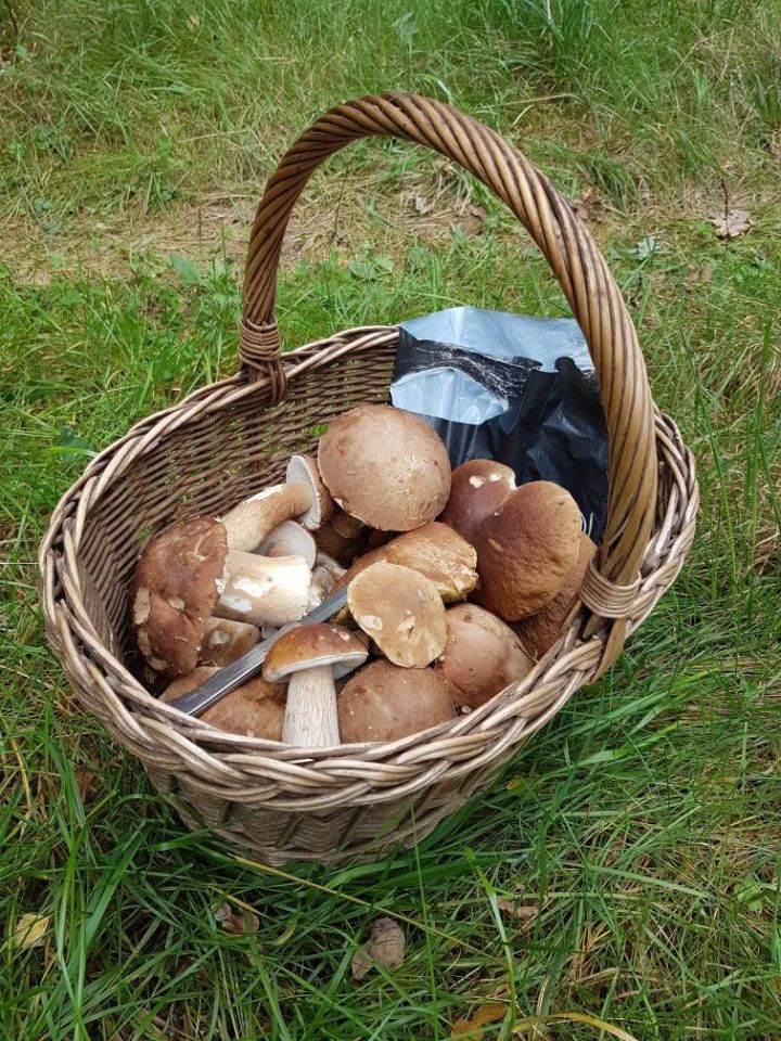 Działka rekreacyjna Martiany. Zdjęcie 5