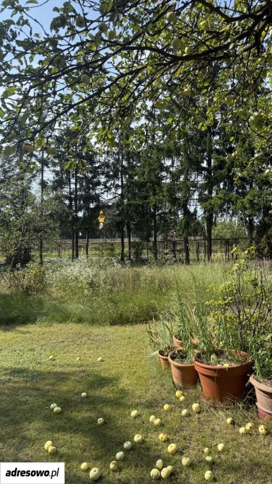dom wolnostojący, 4 pokoje Pomiechówek, ul. Przytorowa. Zdjęcie 6