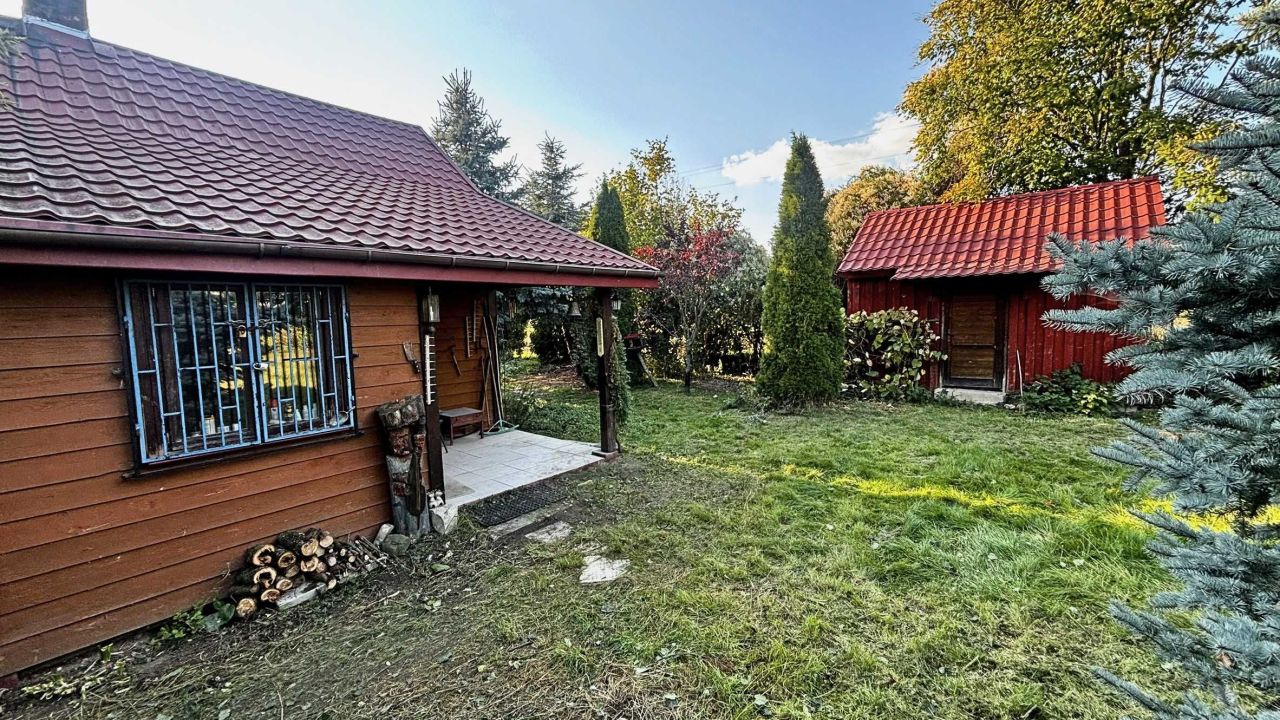 siedlisko Targowisko-Kolonia. Zdjęcie 2