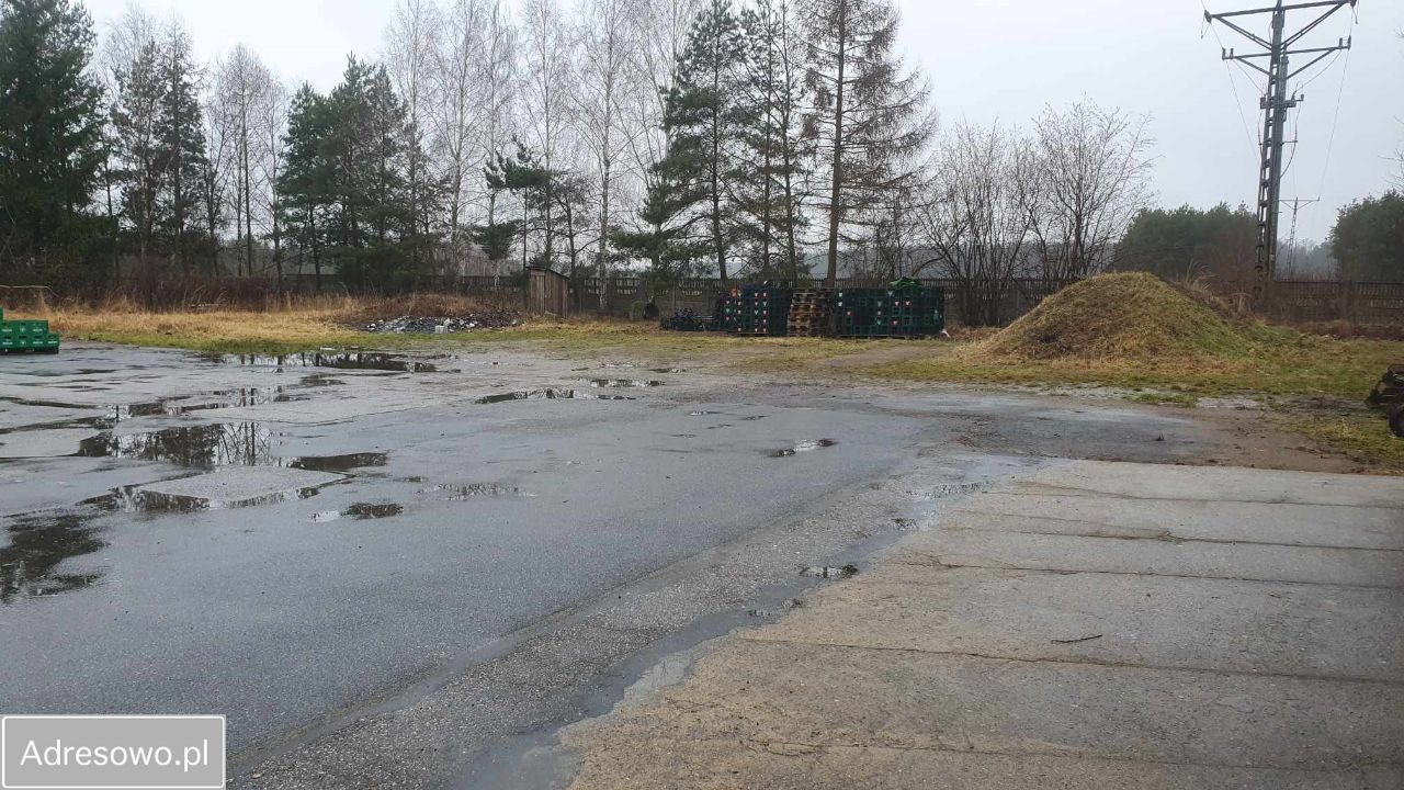 Hala/magazyn Strobów. Zdjęcie 7