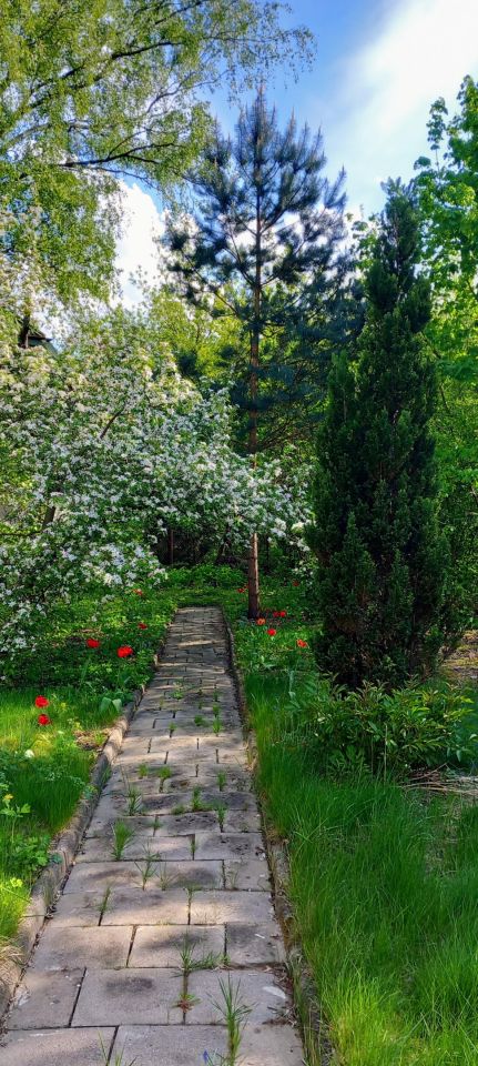 dom wolnostojący, 5 pokoi Otwock Świder, ul. Pogodna. Zdjęcie 27