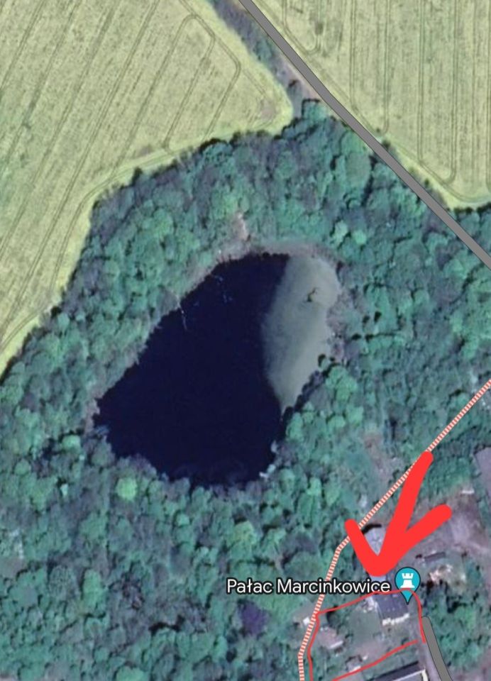 dom szeregowy Marcinkowice. Zdjęcie 4