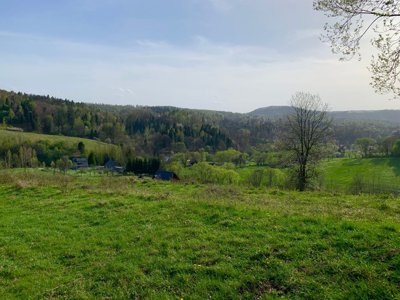 Działka budowlana Daszówka. Zdjęcie 5