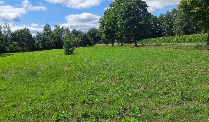 Działka budowlana Radzyń, ul. Wspólna