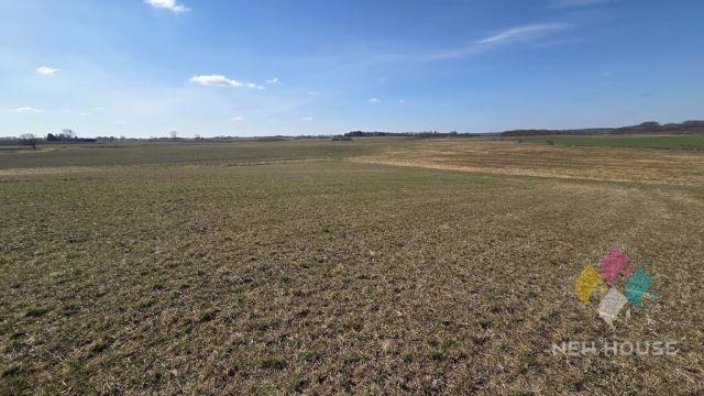 Działka rolna Woźnice. Zdjęcie 5