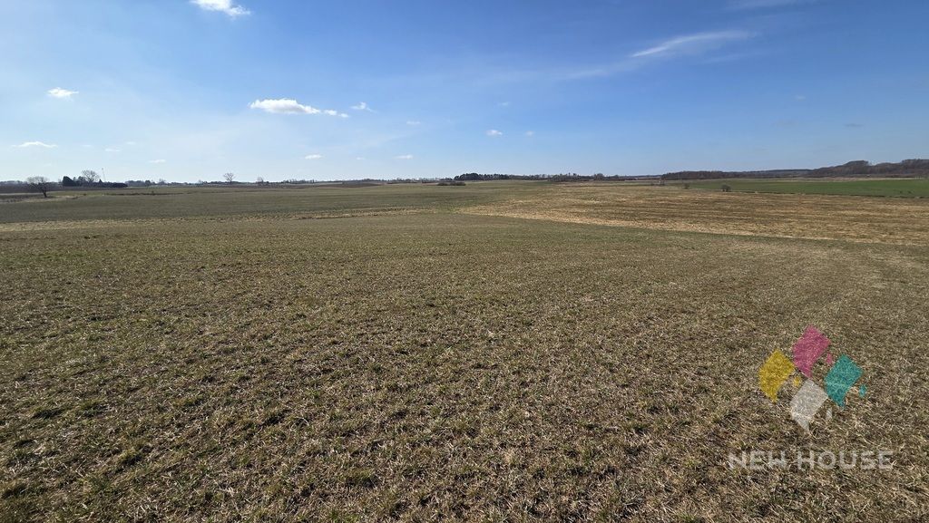 Działka rolna Woźnice. Zdjęcie 5