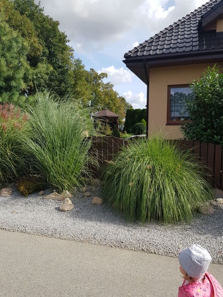 bliźniak Dobroszów Oleśnicki. Zdjęcie 3