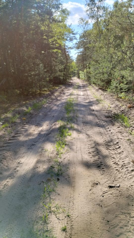 Działka leśna Ołdakowizna. Zdjęcie 5