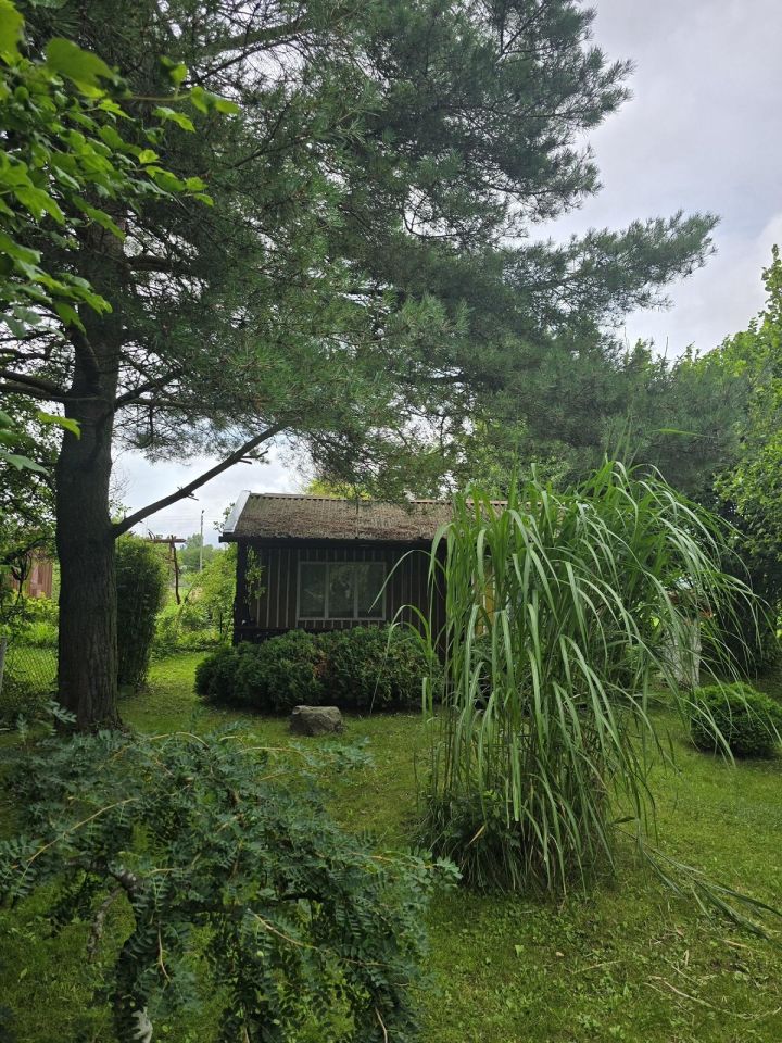 Działka rod Sępopol. Zdjęcie 11