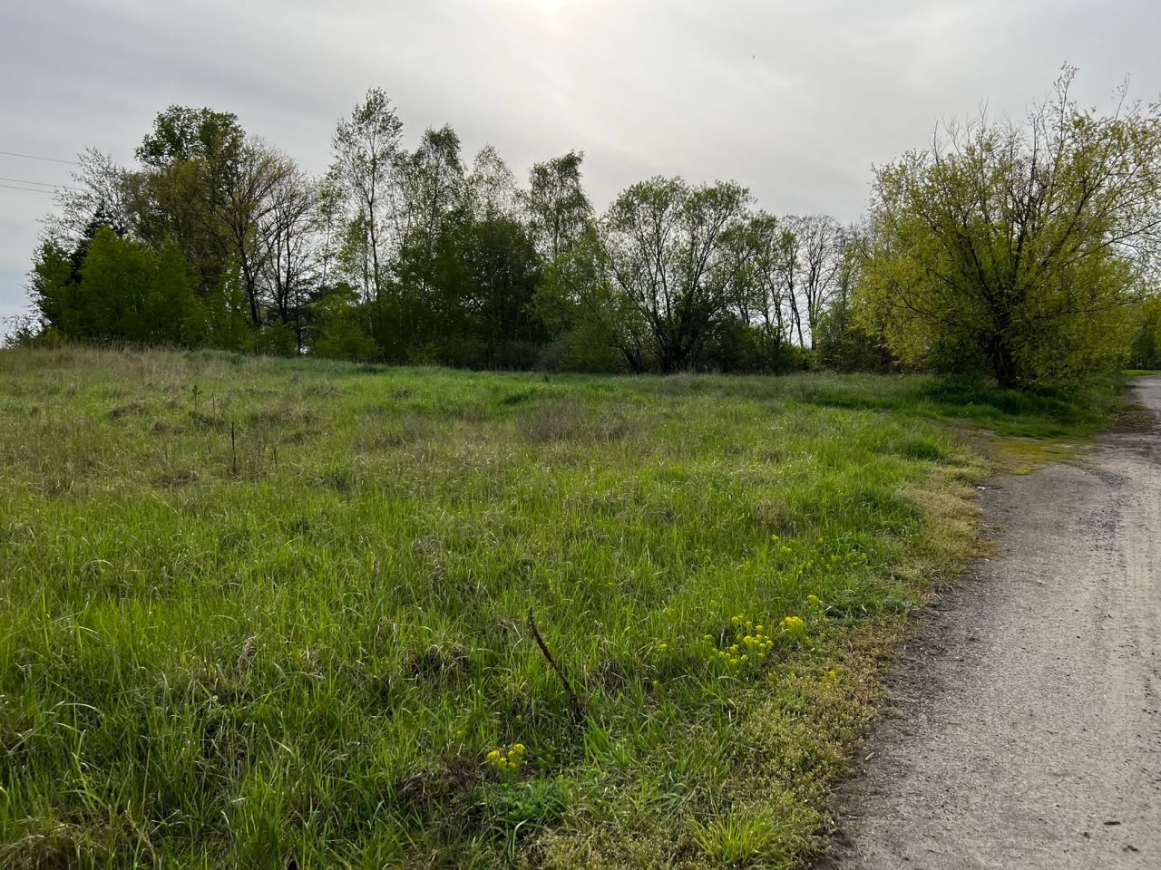 Działka rolna Kolsko, Kolsko. Zdjęcie 13