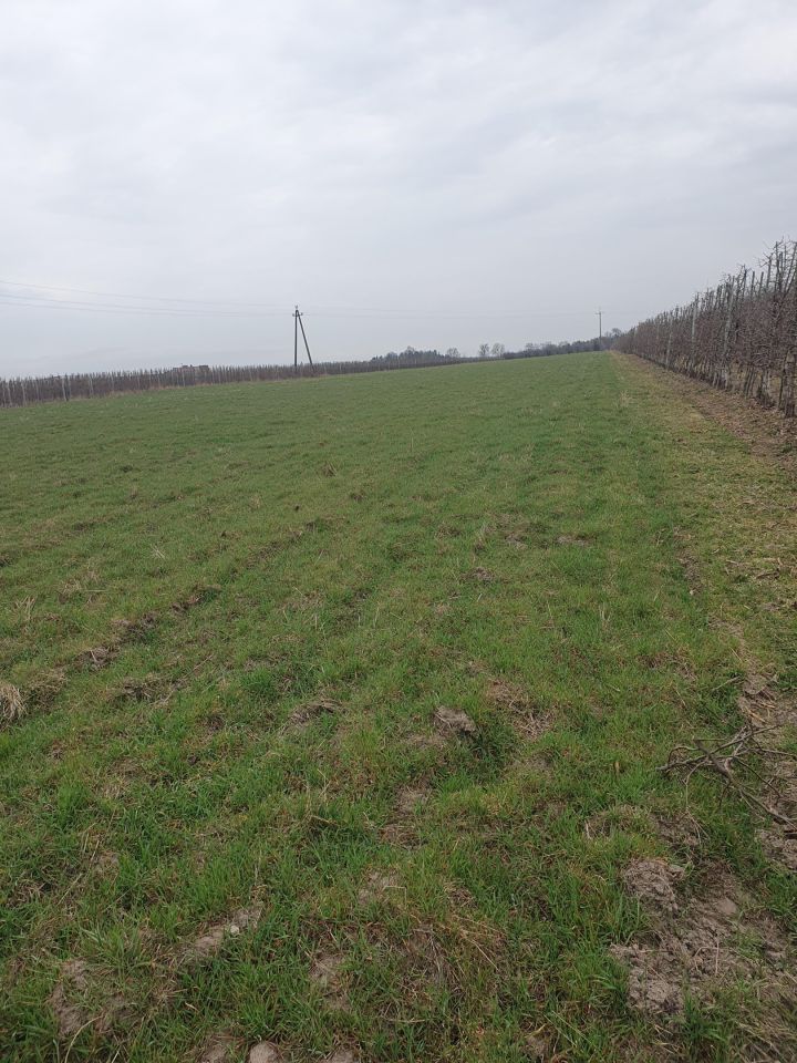 Działka rolno-budowlana Wiatrowiec. Zdjęcie 3