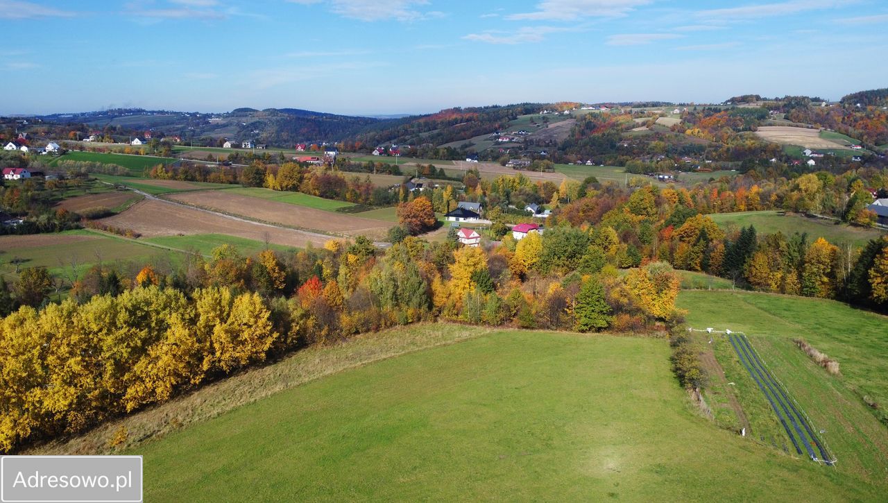 Działka budowlana Sadek. Zdjęcie 10