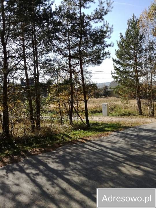 Działka budowlana Ciekoty. Zdjęcie 4