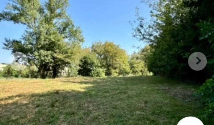 Działka budowlana Ostrowiec Świętokrzyski, ul. Platanowa