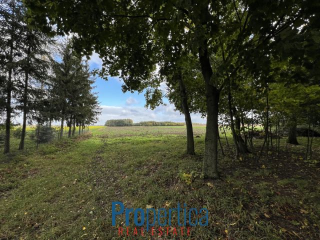 dom wolnostojący, 3 pokoje Nowy Gołymin. Zdjęcie 18