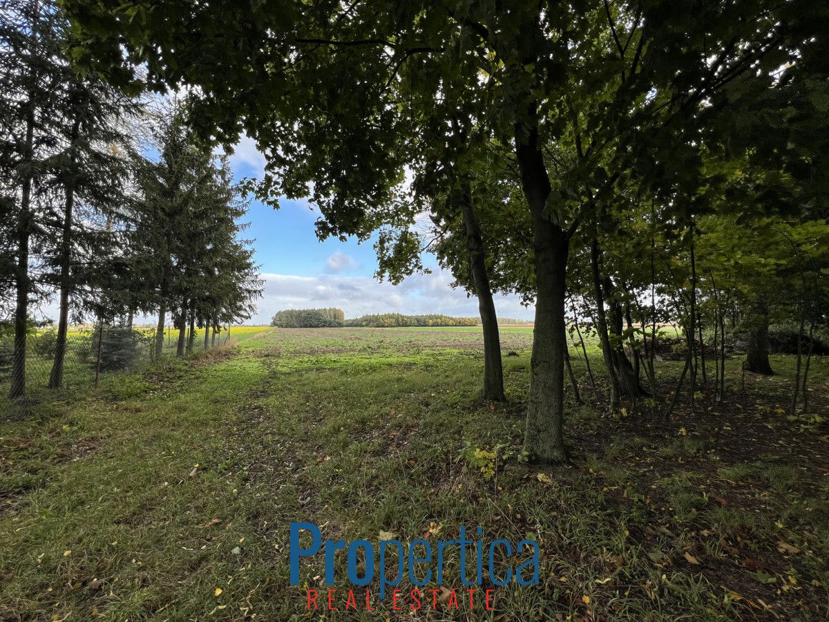 dom wolnostojący, 3 pokoje Nowy Gołymin. Zdjęcie 18