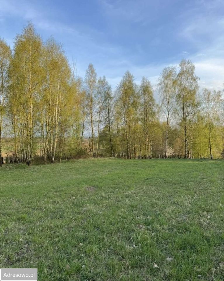 Działka budowlana Mikołów, ul. Młyńska. Zdjęcie 3