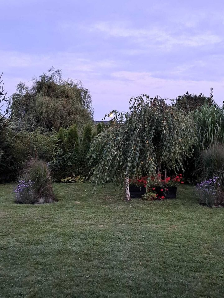 Działka rod Szczecin Dąbie, ul. Regalicka. Zdjęcie 4