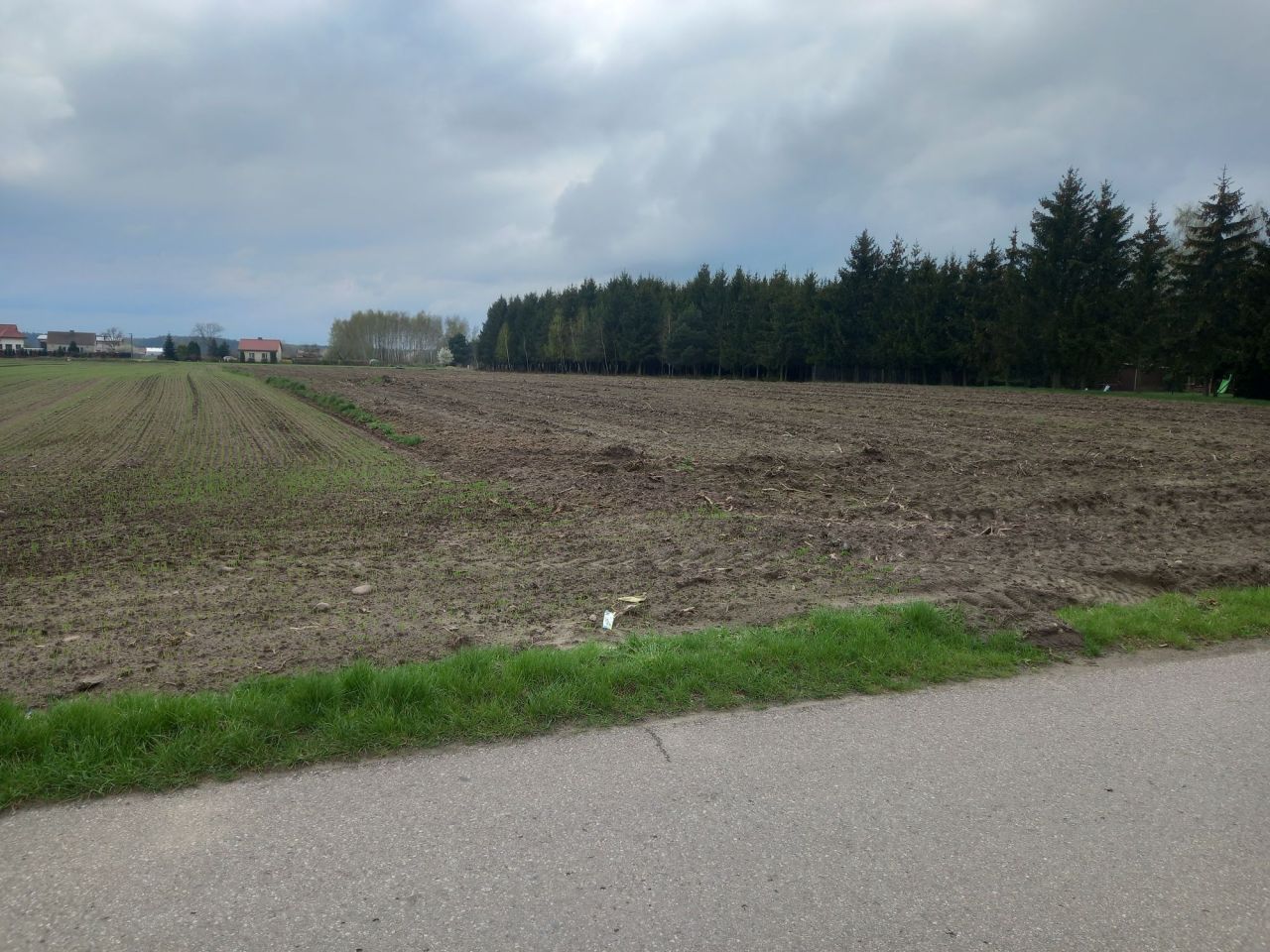 Działka inwestycyjna Ciechanów. Zdjęcie 7