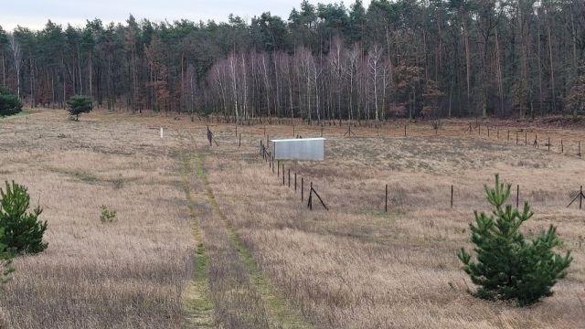 Działka budowlana Oporówek. Zdjęcie 1