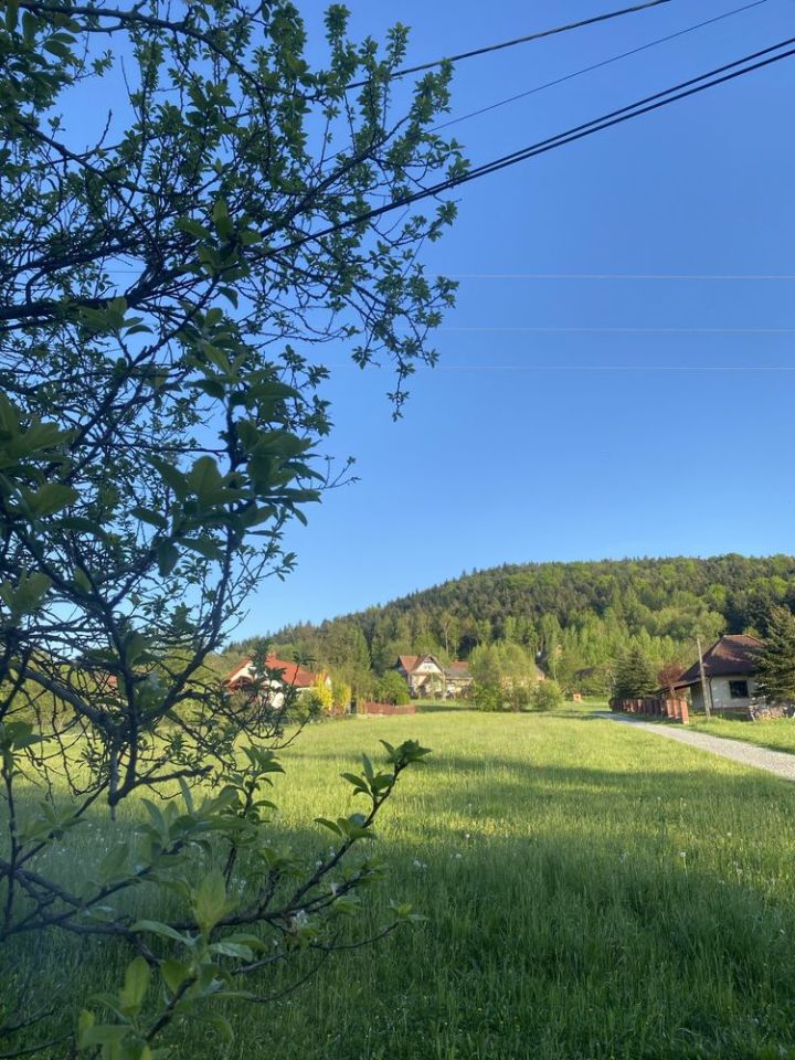 Działka rolno-budowlana Sobolów. Zdjęcie 4