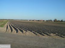 Działka inwestycyjna Warszawa Włochy, ul. Janka Muzykanta