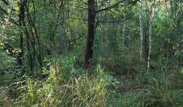 Działka rekreacyjna Andrzejówka