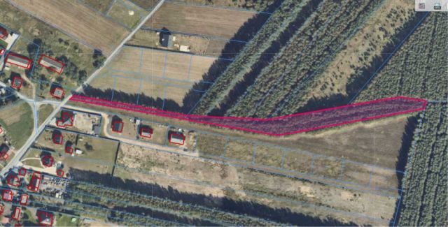 Działka rolna Adamów. Zdjęcie 1