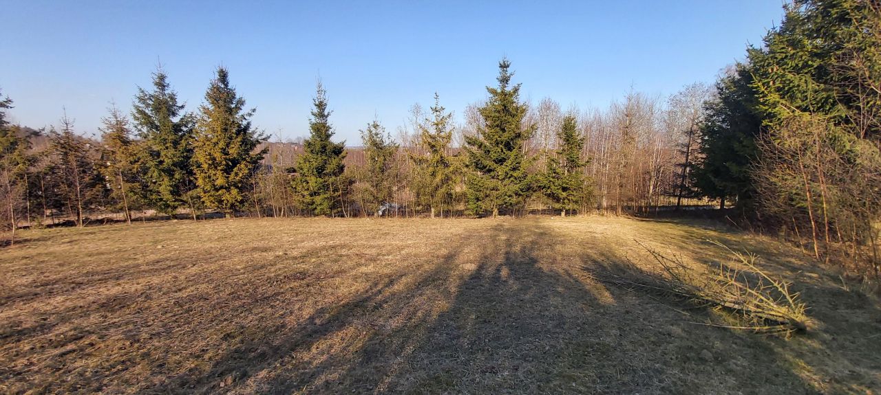 Działka budowlana Przyjaźń, ul. Góra Augusta. Zdjęcie 4